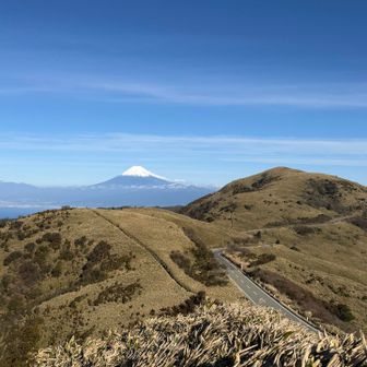 ここからはずっと富士山🗻に向かって稜線を進んでいきます