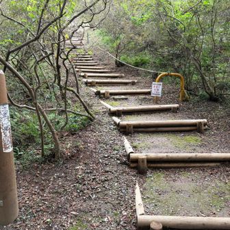 ここから登り👍