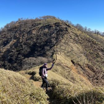 寒かったのでずっとアクティブインサレーションの上にパタのフーディニを羽織っていた🥷（お洗濯したオクタの腹巻が見つからなかったので片手でお腹を温めながら歩いた。）