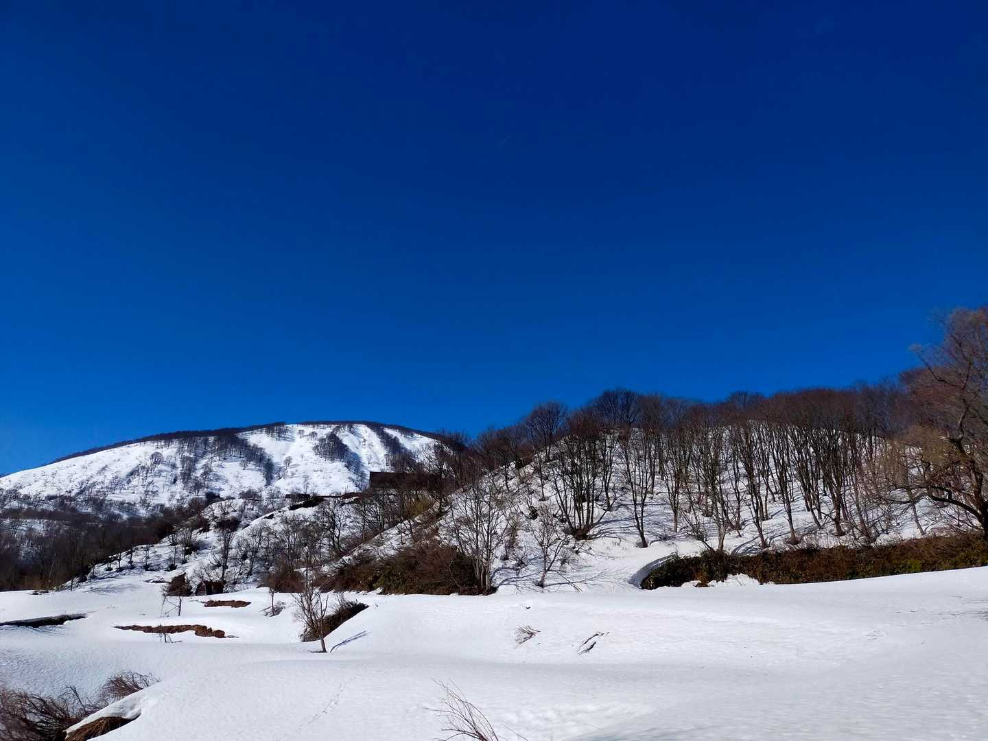 青と白が最高😉😉