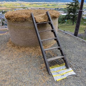牧草ロールに乗れる。フカフカして面白い