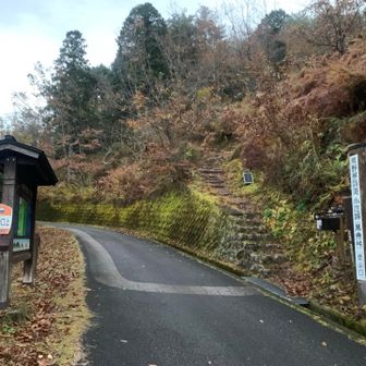 意外と十津川→熊野大社間も登りました。