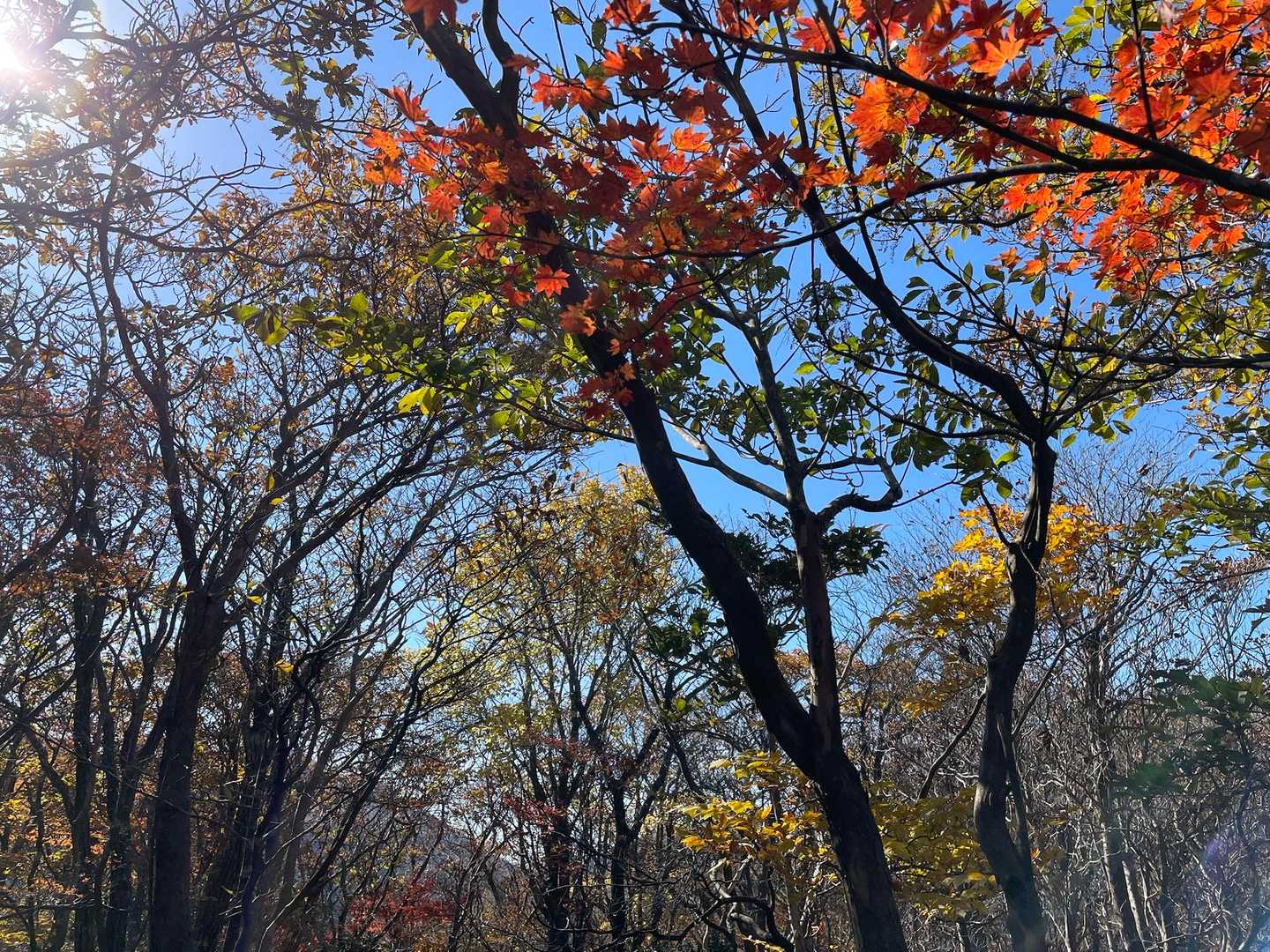 水晶岳🔮まで登り返します