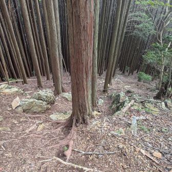 でも急な下りで神経使う