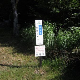 登ります！