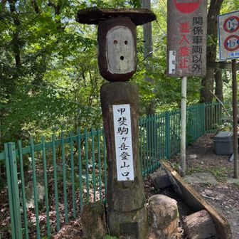 登山口に無事到着！
吊橋を渡ってから駒ヶ岳神社に下山挨拶に参拝したら、丁度神職さんがいらして、「ご苦労様でした。天気が良くて良かったですね」とお言葉をかけていただきました。
売店おじろでソフトクリーム（500円）を買って、少し車で休憩してから帰路につきました。