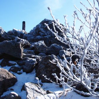 見上げてパシャリ📸