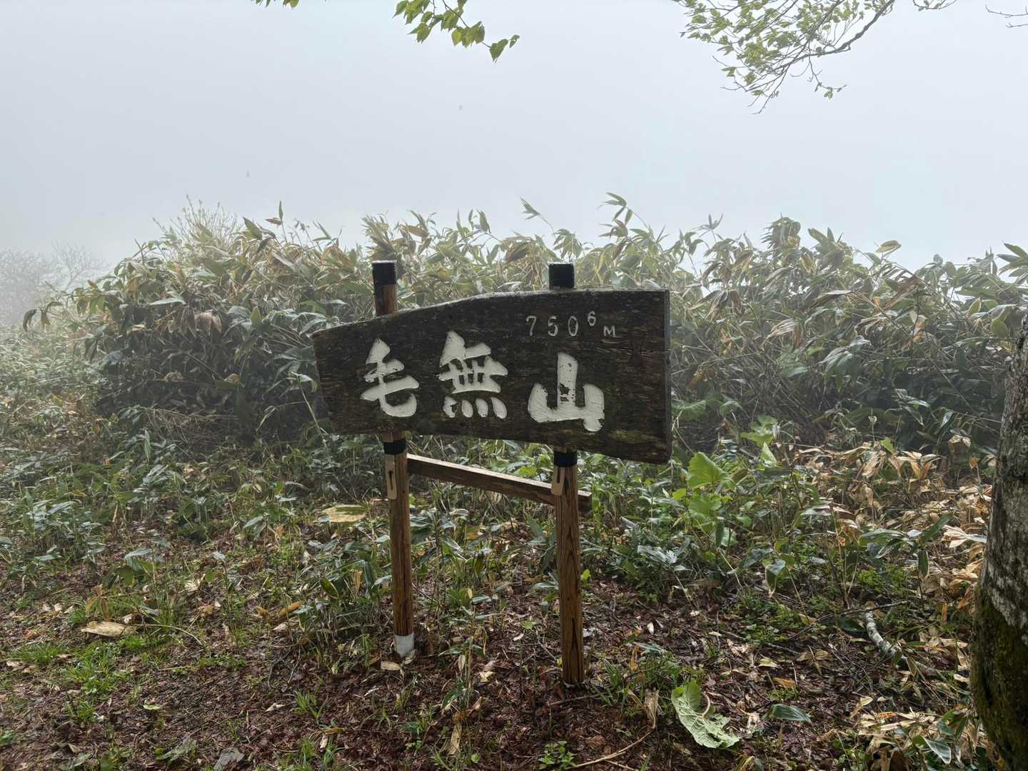 到着❗️