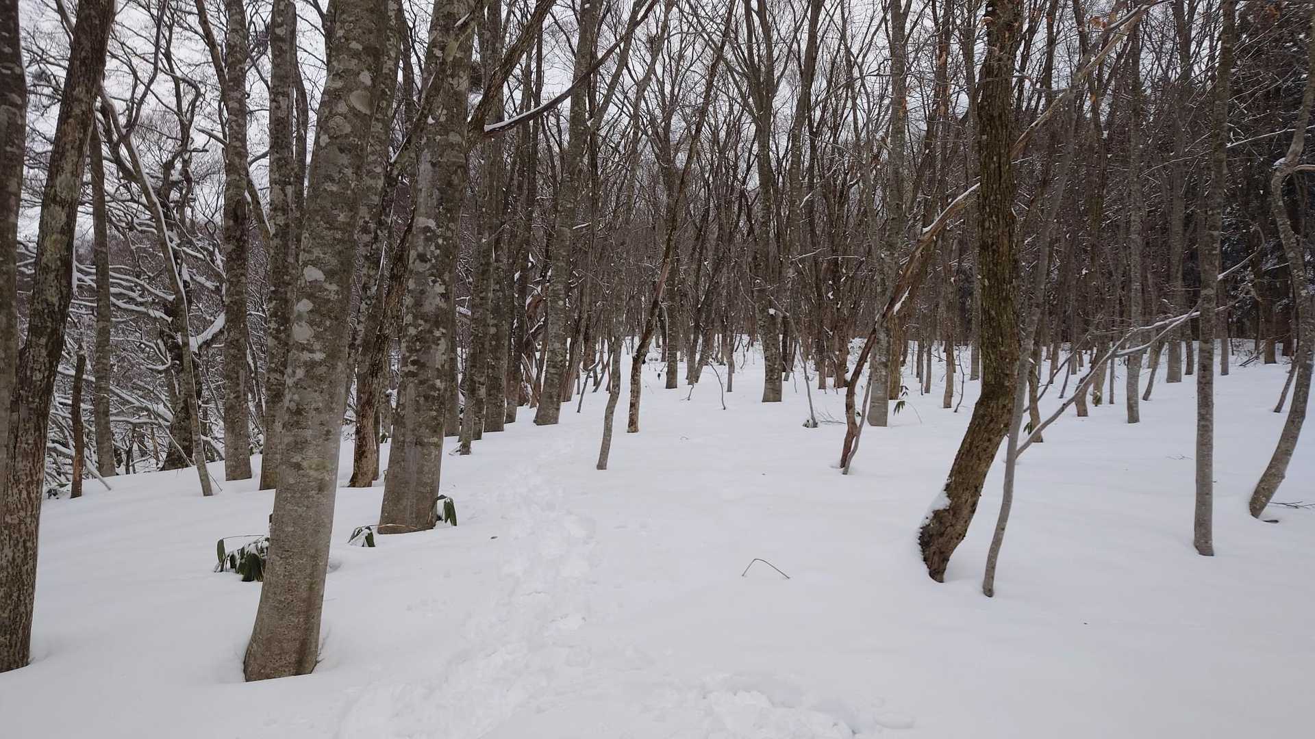 いい感じ⛄