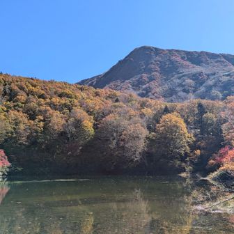 写真ではよく分かりませんが、三宝荒神山の山肌も赤く紅葉🍁してます