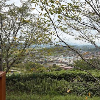 展望台からの眺め