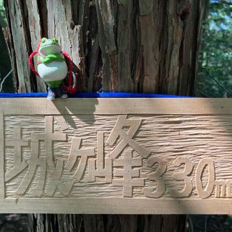 新しい山頂プレートがついてた‼︎ 😳