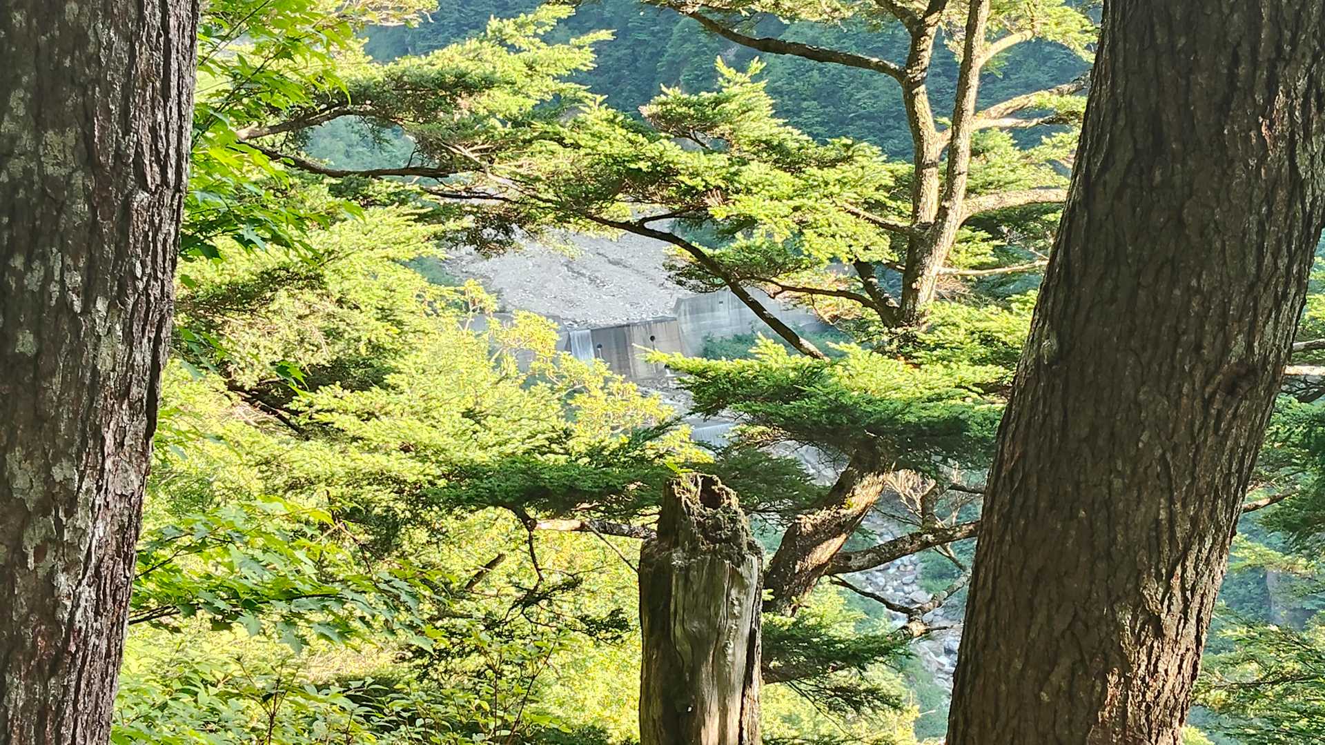 少し登って砂防ダムを見下ろすとこんな感じ。