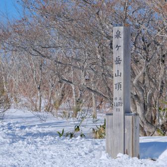 山頂到着。到着時は誰も広場にはおらず、三叉路方面に数人休憩中でした。昨年2月は山頂標識の標高のあたりまで雪がありました。