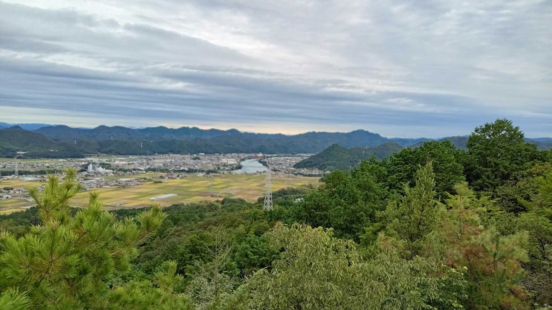 🐴から川辺