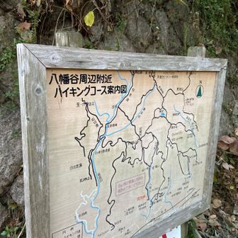 登山道はここまで。
結構、大変やった