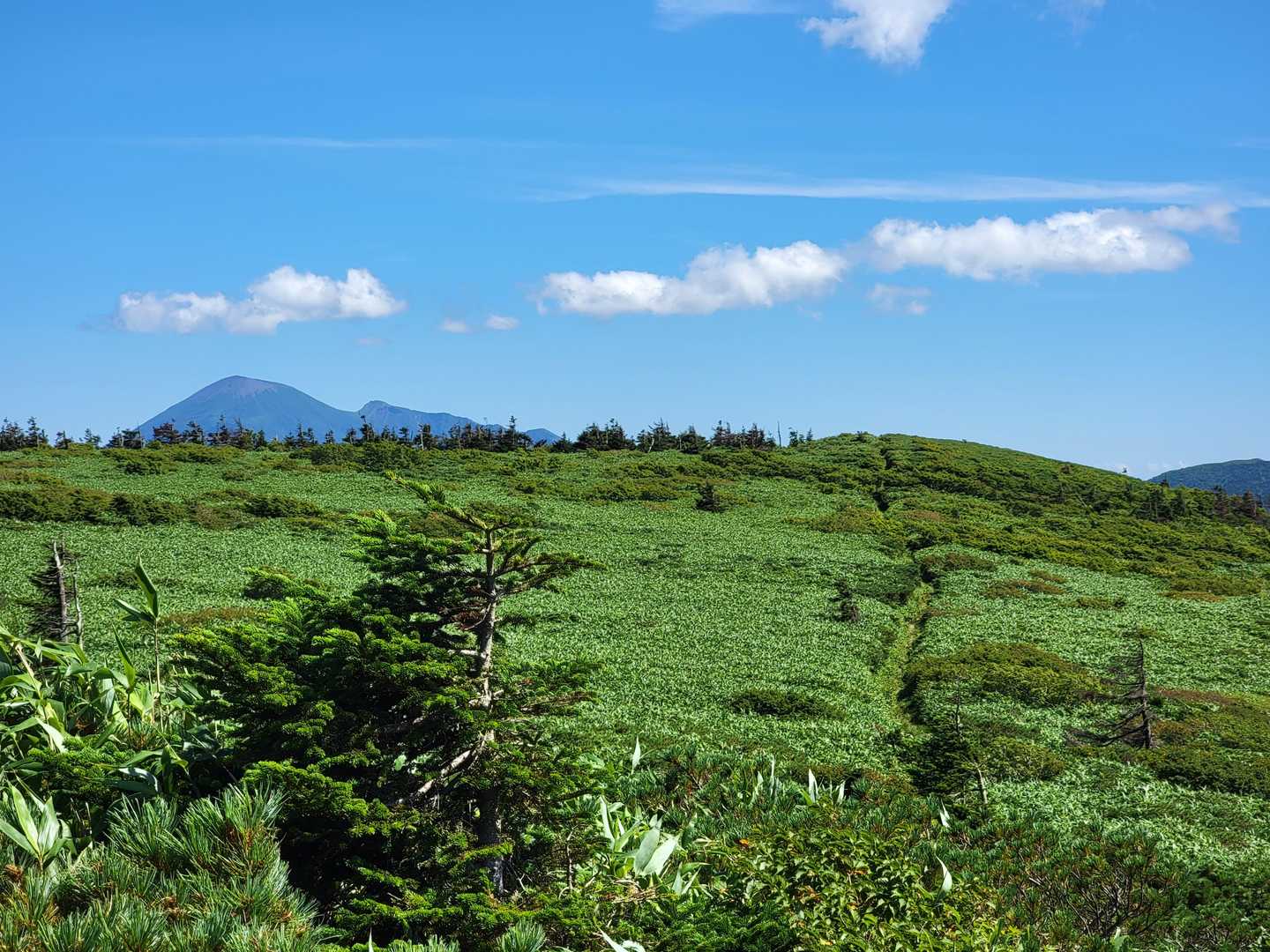 その先には岩手山と右に縦走路🌿今日の目的地まで来たので戻ることに👣