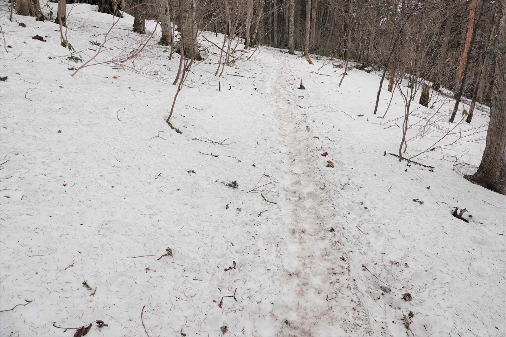雪の上は涼し〜い😊