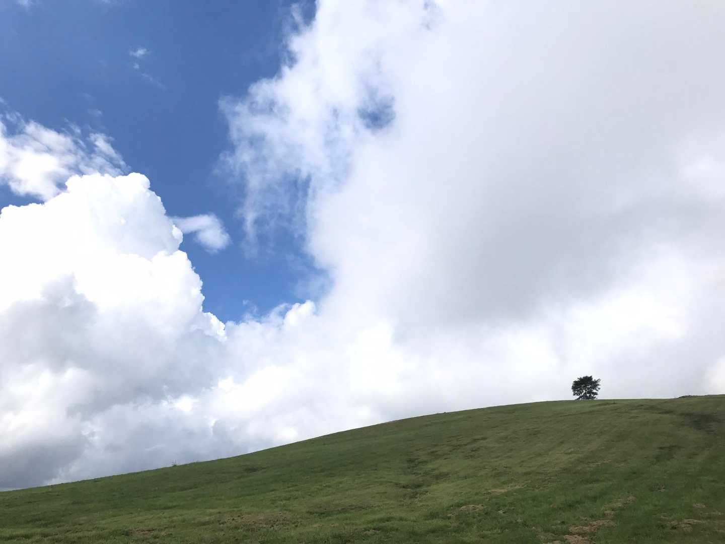 北の国からに出てきそうな風景。