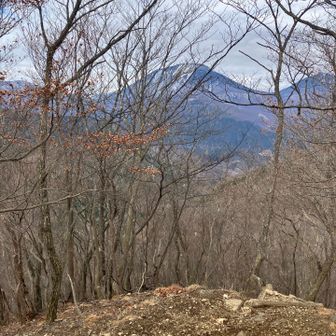 山頂からの眺めは樹々の間から男体山
