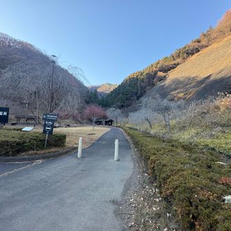 キャンプ場の中を通ります