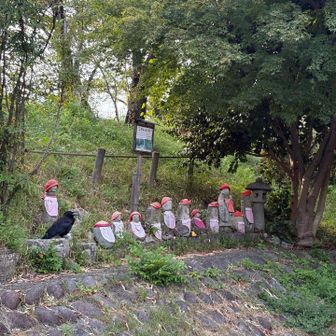 カラスがお出迎え🐦‍⬛