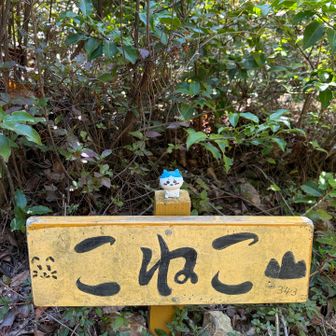 きり子