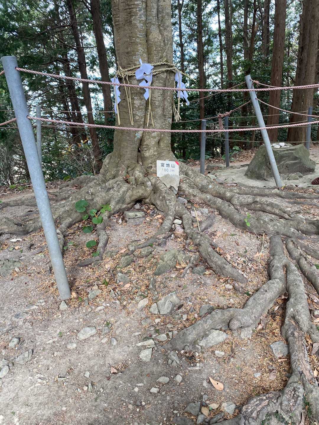 宮地嶽神社-宮地山-在自山-水落山-対馬見山-冨士白玉神社 縦走コースの写真