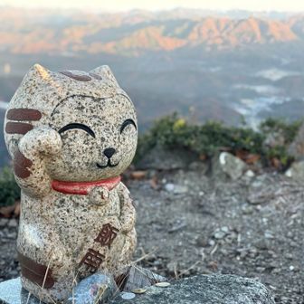 いいにゃんでしたっけ？
この子もモルらないかと期待したけどちょうど神在月標識の陰で残念