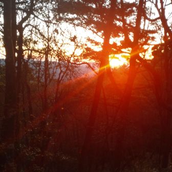 ほんとに真っ赤です。