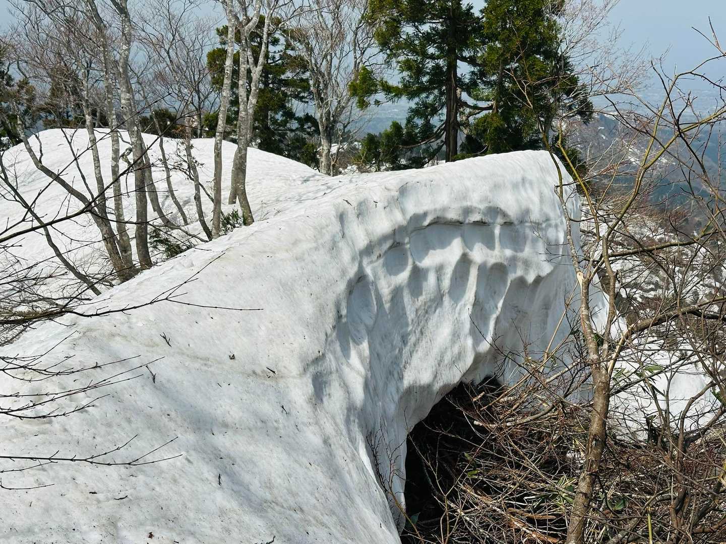 まだまだ雪量沢山❄️
今年はGWまで残雪の大倉山楽しめそう❄️