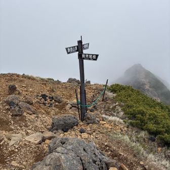 赤岳へ向かう途中でガスってきました。