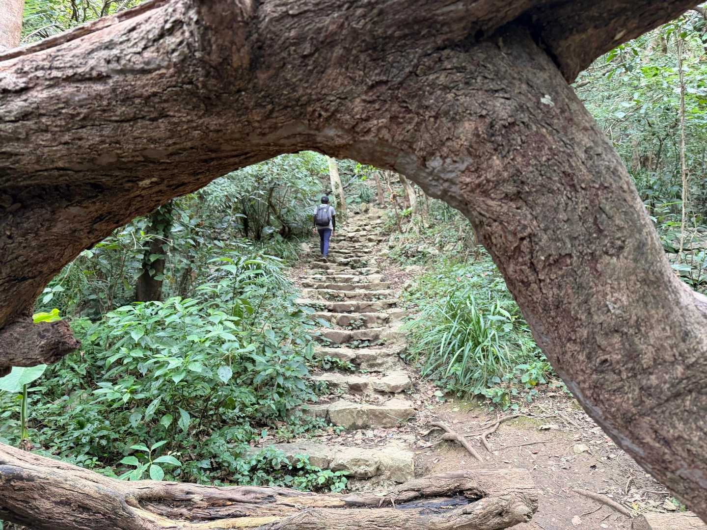 こんな階段登ります
苦手なやつ😅