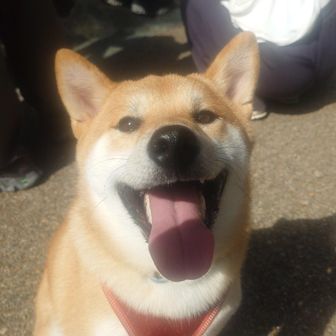 わーい