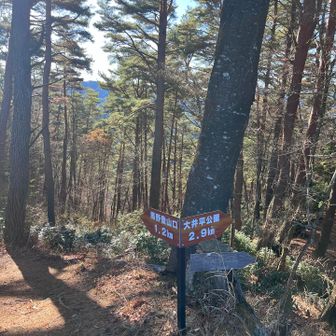 では違うルートで下山します