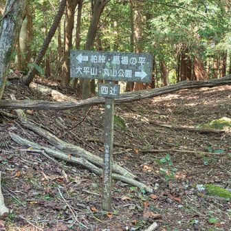 ここからはYAMAPのルートに復帰します。