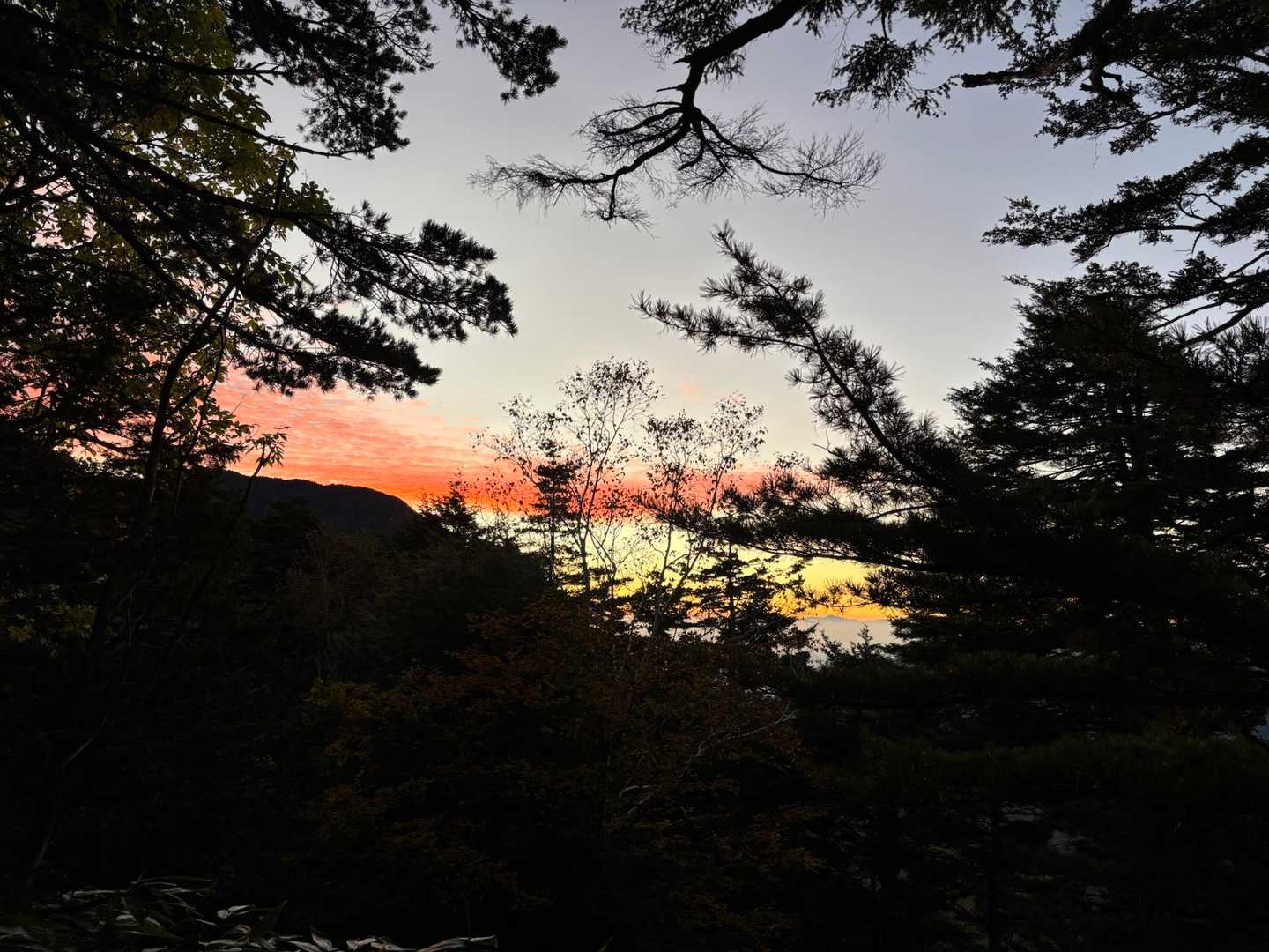 夜明けワクワク