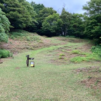 ゴルフ場みたいなシバ