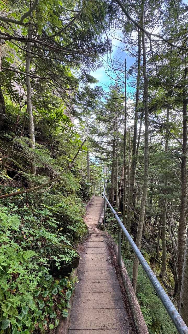 中央アルプス縦走（木曽駒ヶ岳〜空木岳） の写真 65