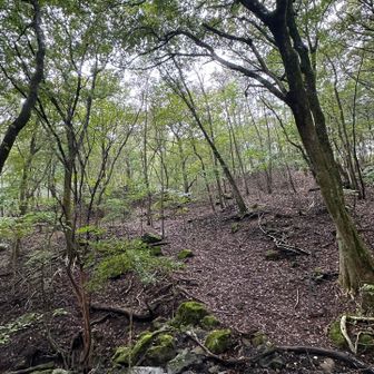 分岐から振り返る…♬