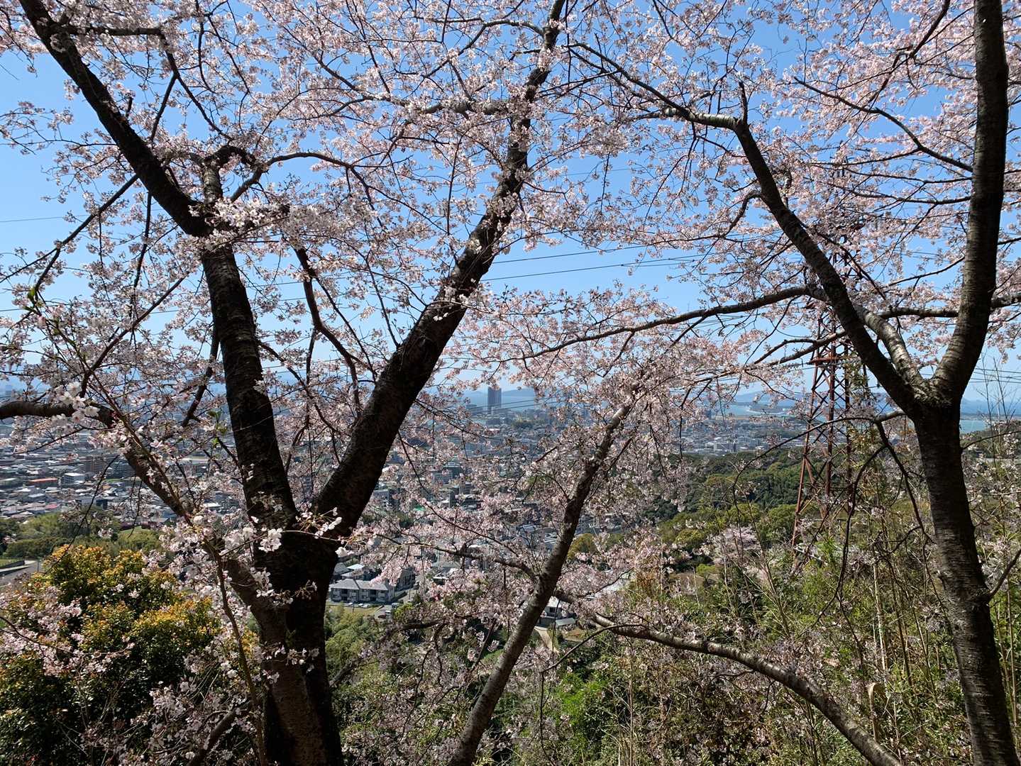 アイランドシティ方面です。