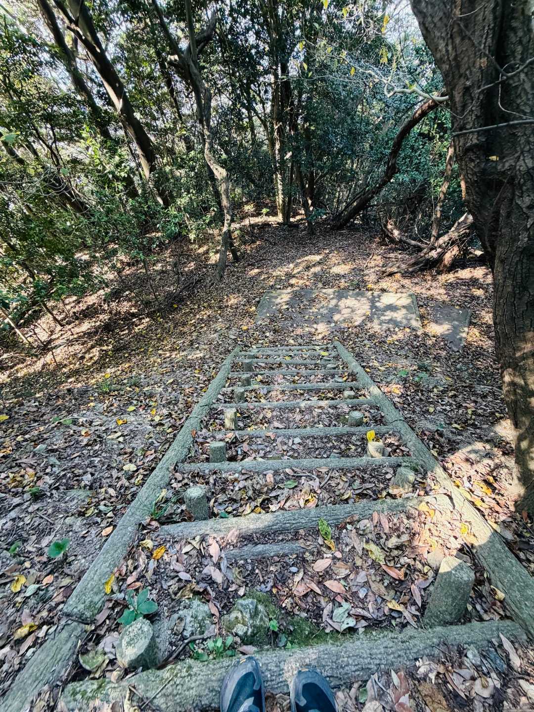 なんと下山から始まるスタイル😳
登ったことないけど石鎚山もたしかこんな感じとレポで見た気がするので練習と思おう😌