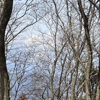 妙高を撮ったつもり🤣