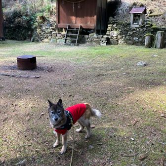 神明宮に到着　パチリ