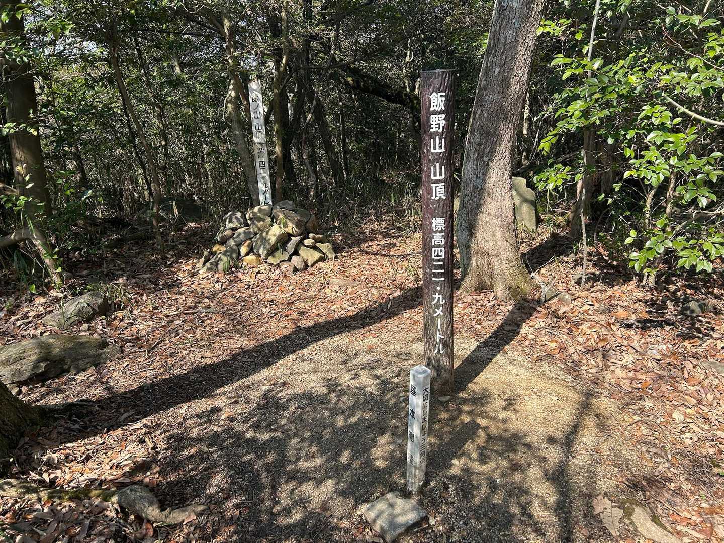 飯野山山頂