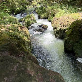 石楠花橋の下から湯川