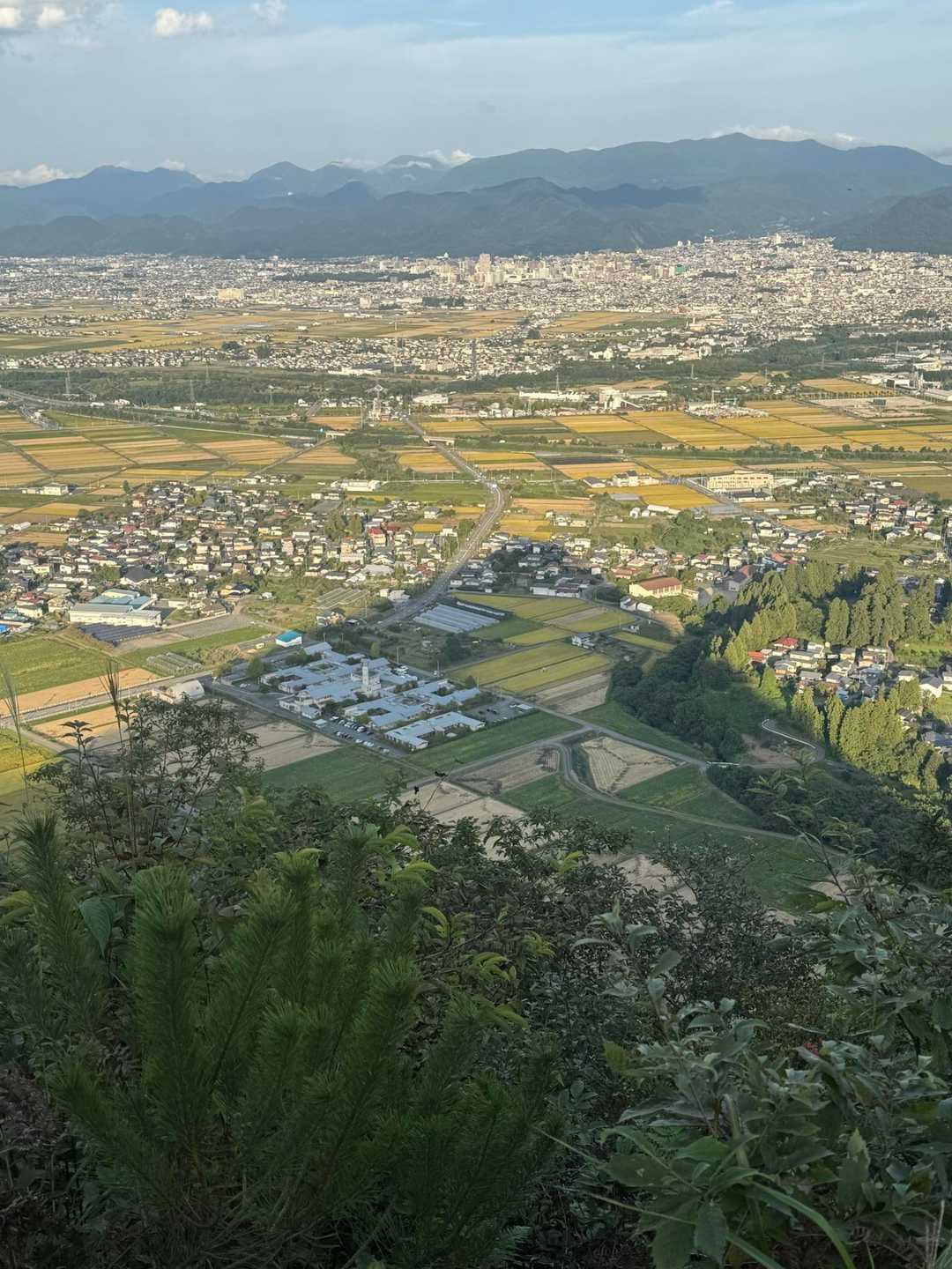 影富神
アキクボさんに教えてもらい始めて気づく
