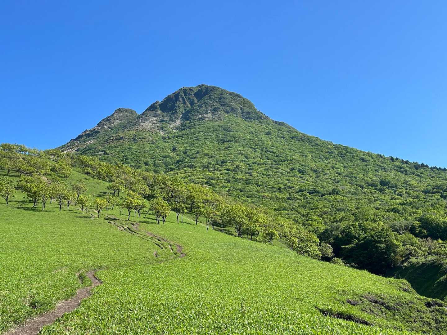 素敵な風景ですね💚
