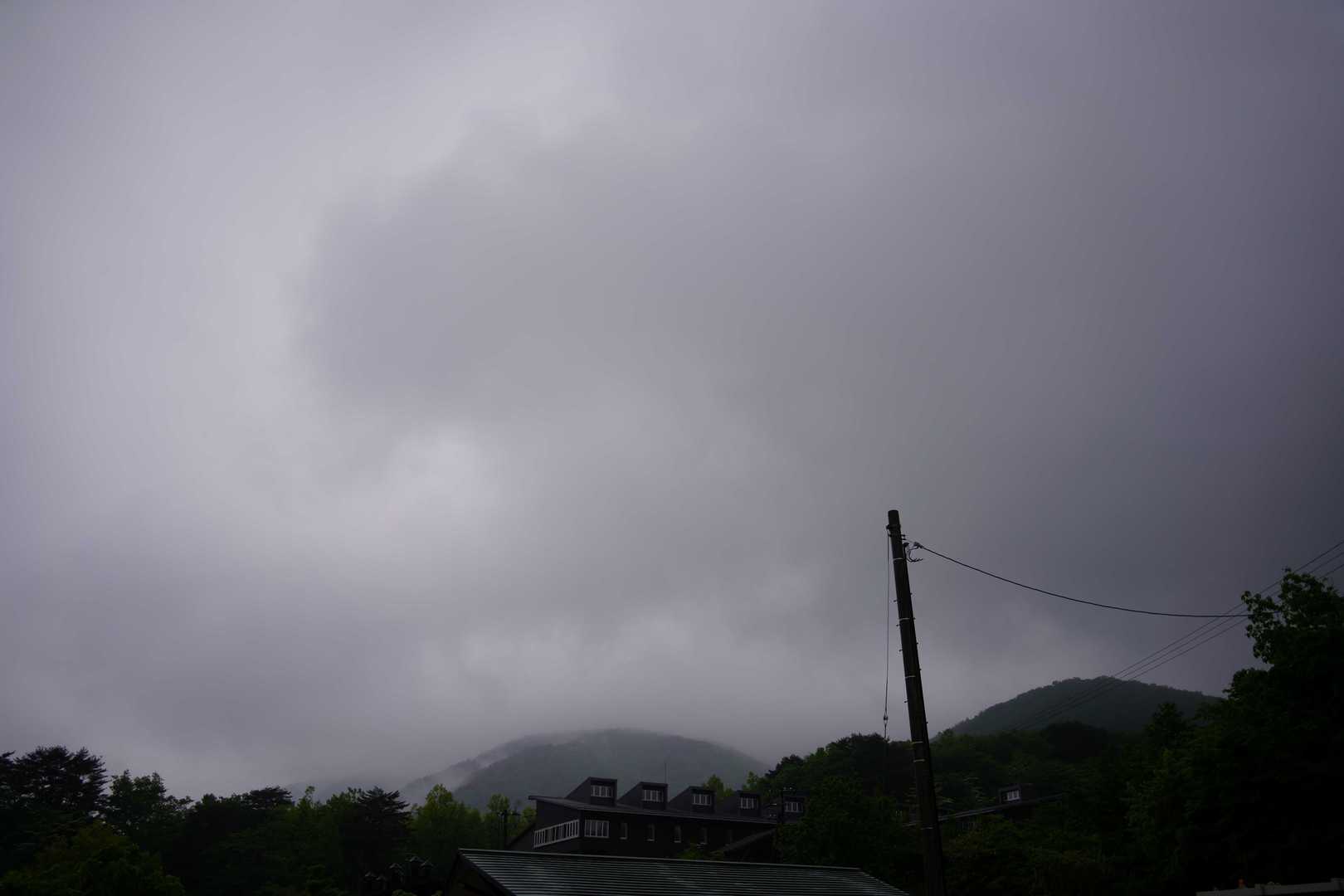今日は霧雨の中でしっとり濡れながらでしたが、ずっと見たかった透け透けサンカヨウが見れて大満足です。