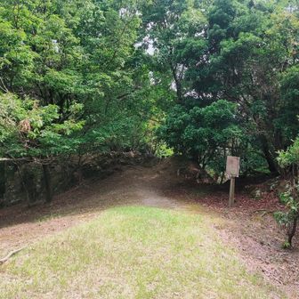 ひょうたん島